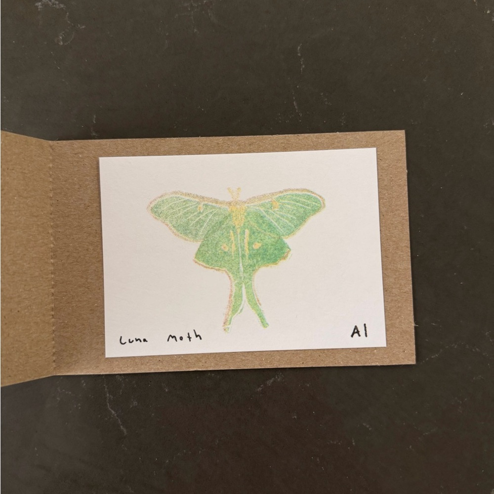 Inciardi prints - luna moth